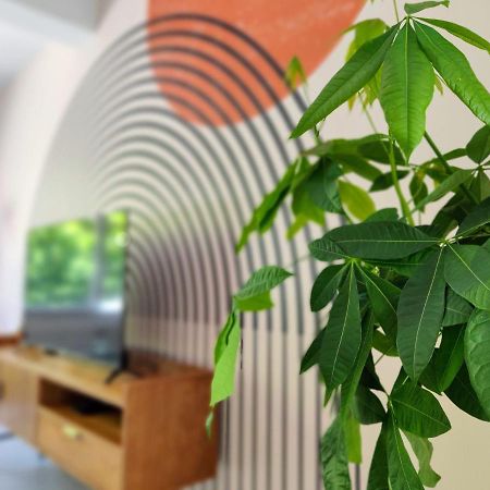 Le Rainbow - Grand Studio Avec Terrasse Dunkirk Exteriör bild